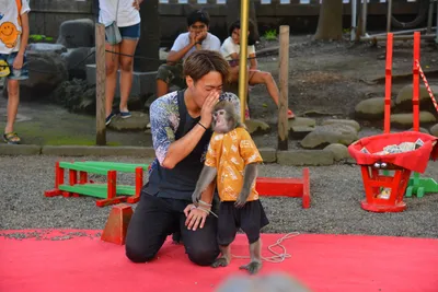 DSC_3517 (Large).JPG